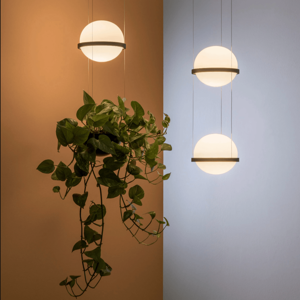 How to Bring Nature Indoors with Planter Lights: A Biophilic Design Guide