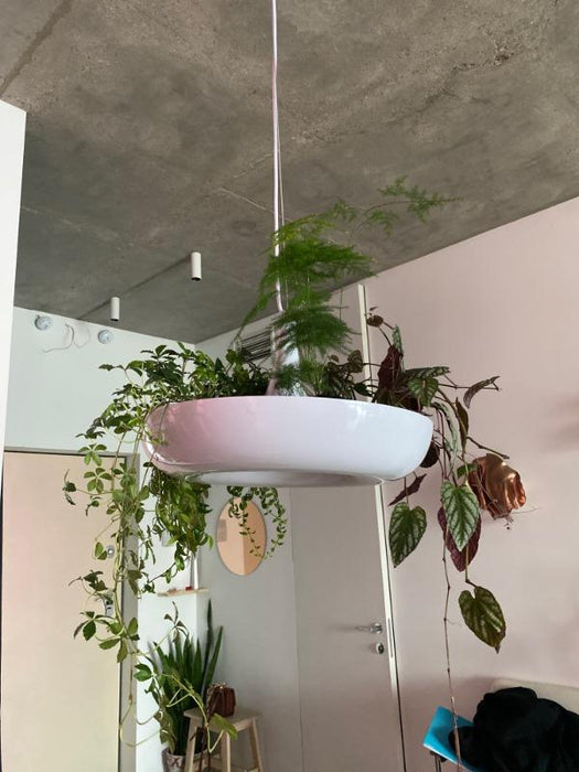 Lagerfeld - Nordic Pendant Planter Light — customer photo by Jamie b.