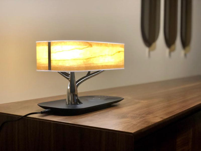 Light Of Life - Table Lamp For Living Room — customer photo by Cole B.
