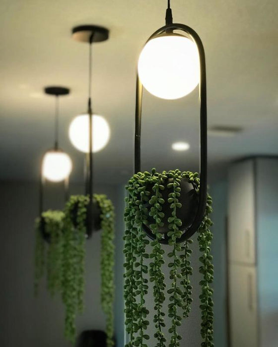 Wren - Sky Garden Planter Light — customer photo by Caroline K.