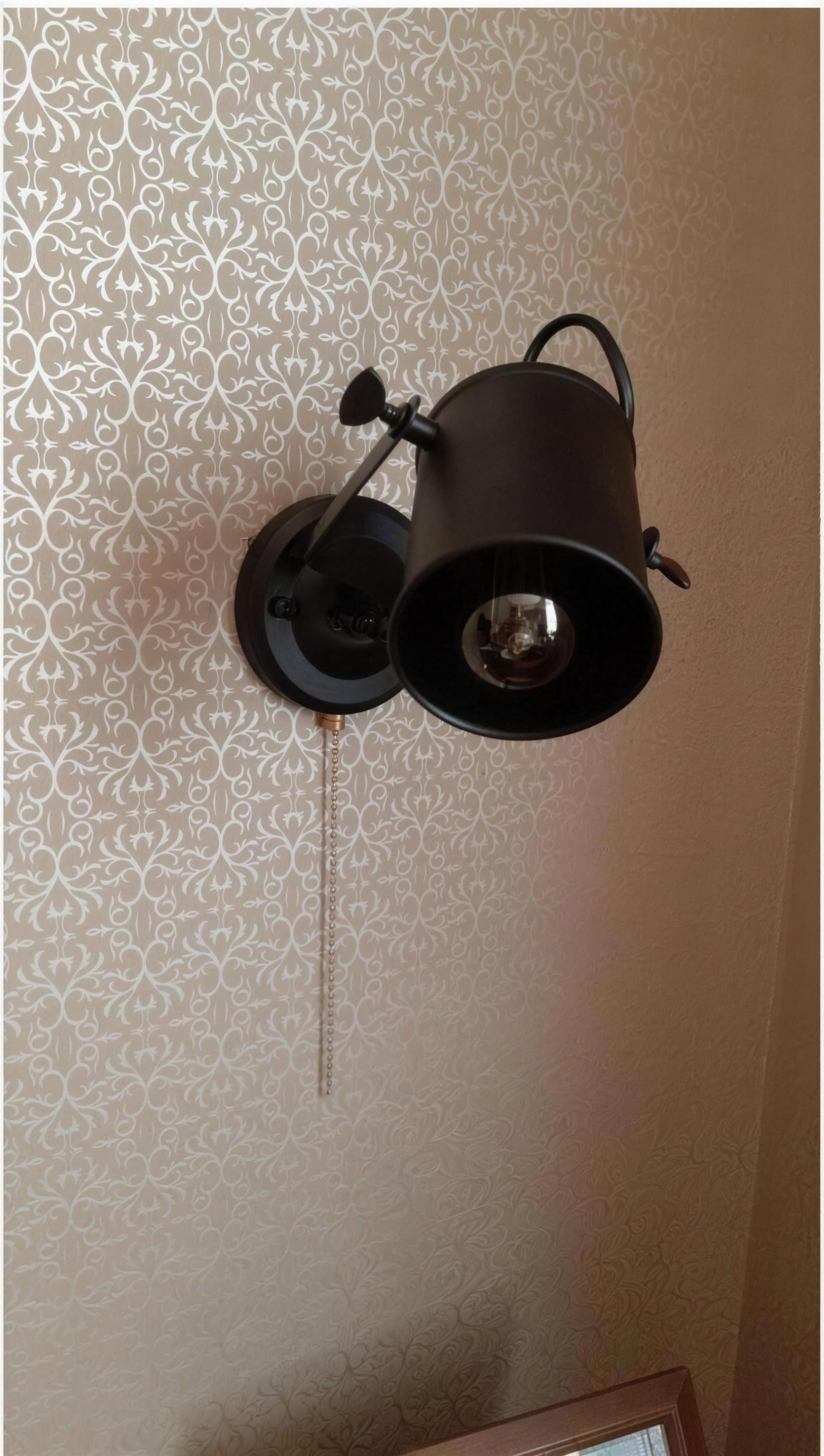 Aleah - Industrial Plug In Wall Sconce — customer photo by Max K.
