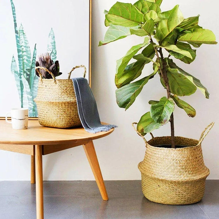 woven bamboo plant Edith