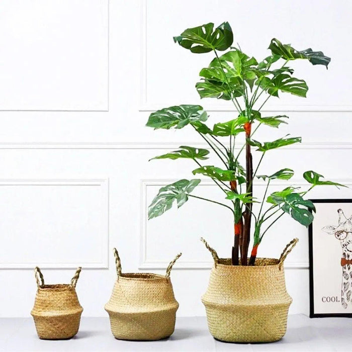woven bamboo plant Edith