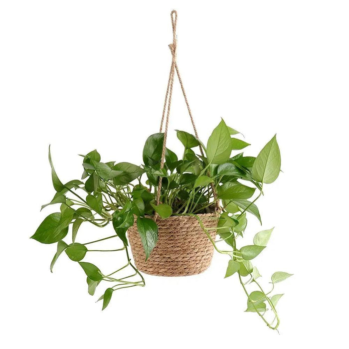 Gisla - DIY Plant Basket  BO-HA   