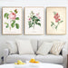 "Vuokko" Vintage Botanical Prints Canvas Collection  BO-HA   