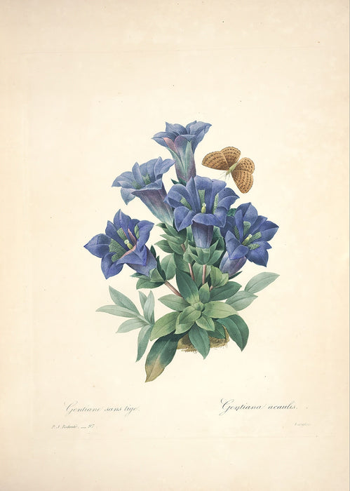 "Vuokko" Vintage Botanical Prints Canvas Collection  BO-HA 30 cm X 40 cm / 11.8″ x 15.7″ Vuokko 5 