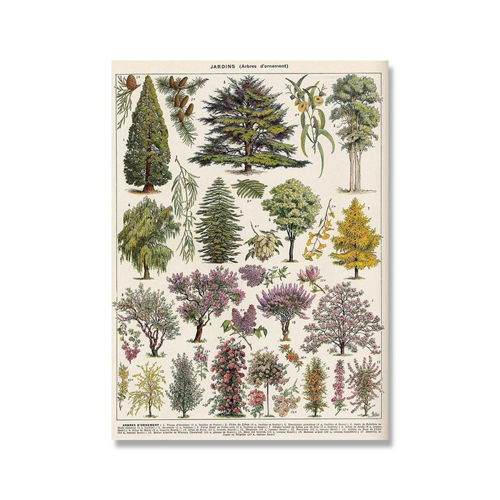 "Lemmikki" Vintage Botanical Prints Canvas Collection  BO-HA 21 cm x 30 cm / 8.2″ x 11.8″ Jardins 1 
