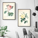 "Vuokko" Vintage Botanical Prints Canvas Collection  BO-HA   