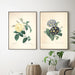 "Vuokko" Vintage Botanical Prints Canvas Collection  BO-HA   
