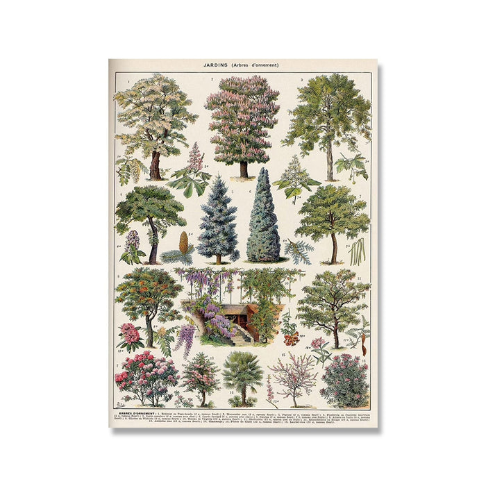 "Lemmikki" Vintage Botanical Prints Canvas Collection  BO-HA 21 cm x 30 cm / 8.2″ x 11.8″ Jardins 2 