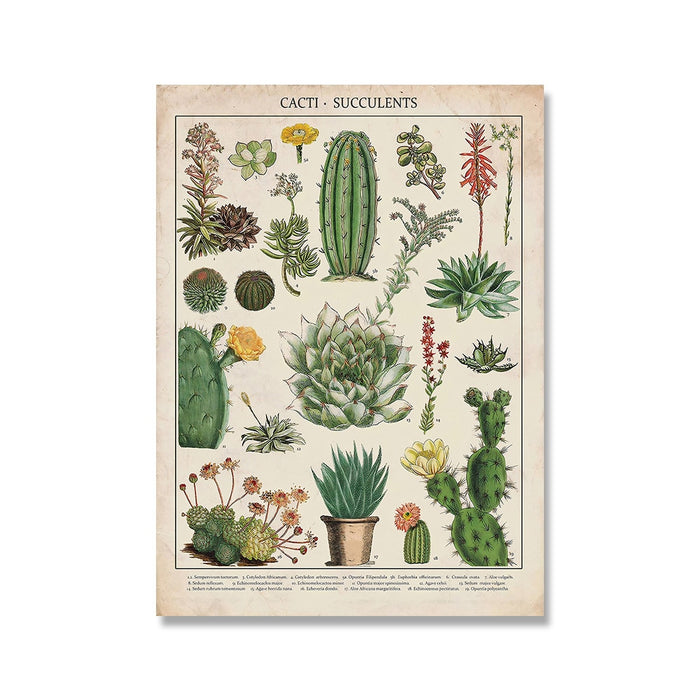 "Lemmikki" Vintage Botanical Prints Canvas Collection  BO-HA 21 cm x 30 cm / 8.2″ x 11.8″ Cacti 