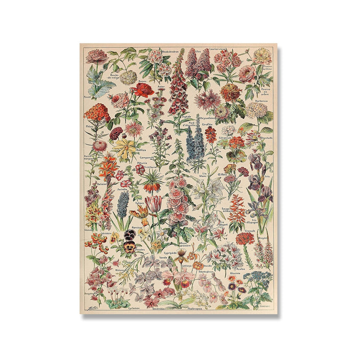 "Lemmikki" Vintage Botanical Prints Canvas Collection  BO-HA 21 cm x 30 cm / 8.2″ x 11.8″ Fleurs 2 