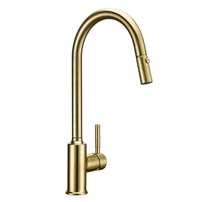 Sela - Gold Kitchen Faucet With Sprayer  BO-HA Default Title  