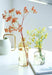 Kajsa - Modern Glass Vase  BO-HA   