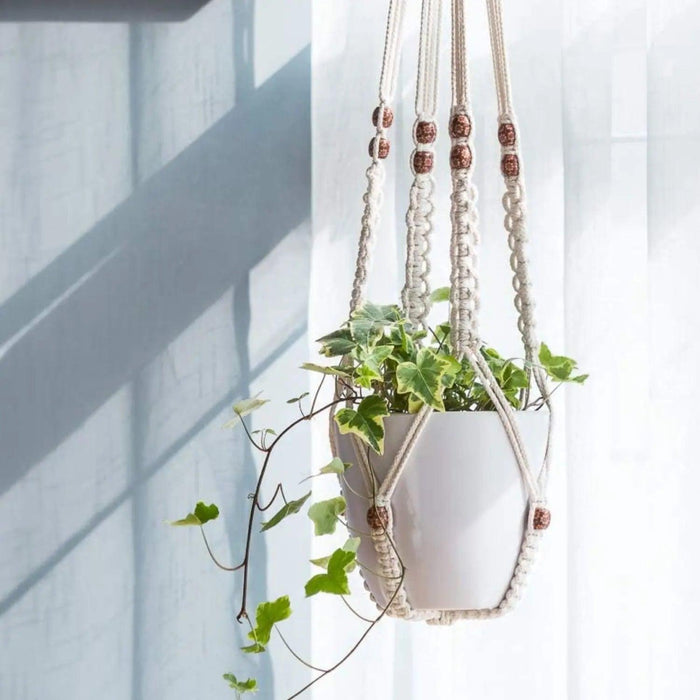complex macrame plant hanger Macrame