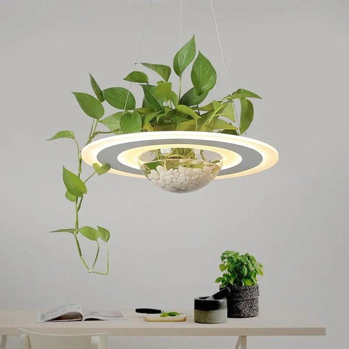 plant light hanging Ragna