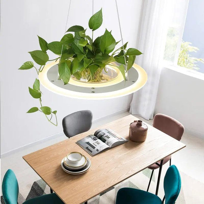 Ragna - Planter Light Table Pendant  BO-HA   